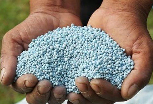 如何識(shí)別真假?gòu)?fù)合肥